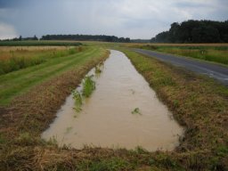 Keller auspumpen und Überflutung, 01.07.2009