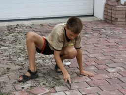 Vorplatzsanierung, 22.08.2009