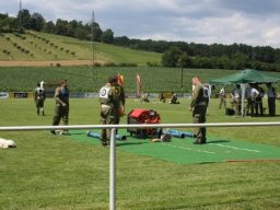 Bezirksbewerb, 25.06.2011