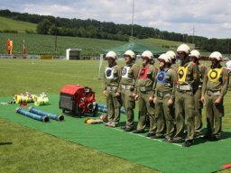 Bezirksbewerb, 25.06.2011