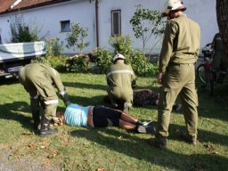 Gemeinsame Übung mit Eberau und Kulm, 27.08.2011