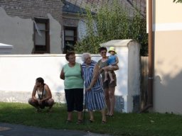 Gemeinsame Übung mit Eberau und Kulm, 27.08.2011