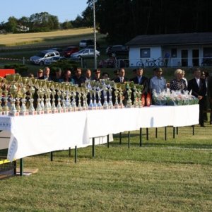 Bezirksbewerb Güssing, 21.06.2014