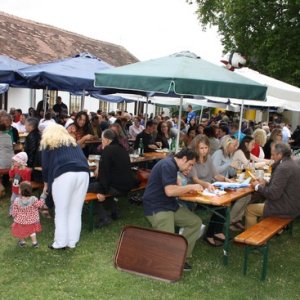Vitus-Kirtag mit Frühschoppen, 20.06.2015