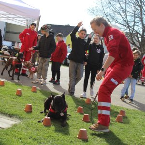 Blaulichttag in Eberau, 11.04.2025