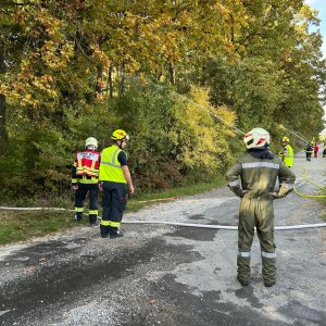 Waldbrandübung in Gaas, 11.10.2025