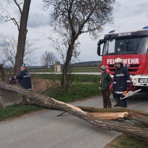 Beseitigung von Sturmschäden, 27.03.2026