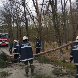 Beseitigung von Sturmschäden, 27.03.2026