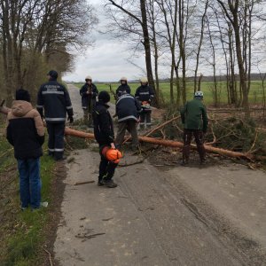 Beseitigung von Sturmschäden, 27.03.2026