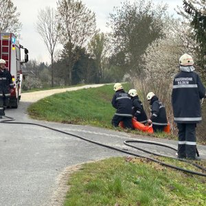 Inspizierung, 11.04.2026