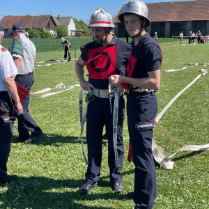 Pinkatalcup in Kulm, 25.04.2026