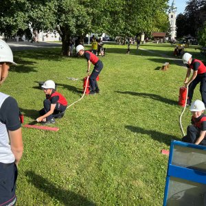 Vergleichsbewerb in Eberau, 04.06.2026